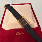 Cartier Tank GM Brown spider dial