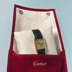 Cartier Tank PM Discor spider dial
