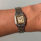 Cartier Panthere Small Gold/Steel Full Set